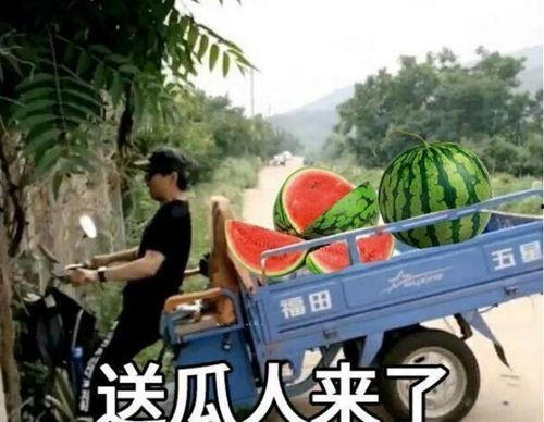 最近大瓜事件