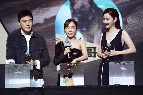 娱乐圈吃瓜合集网盘下载 网红大瓜直播,网红大瓜直播，网盘下载合集大放送！