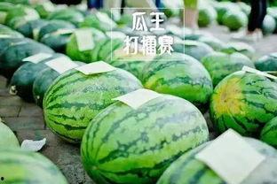 热门大瓜每日大赛